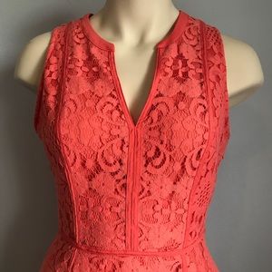 LC Fit & Flare Dress